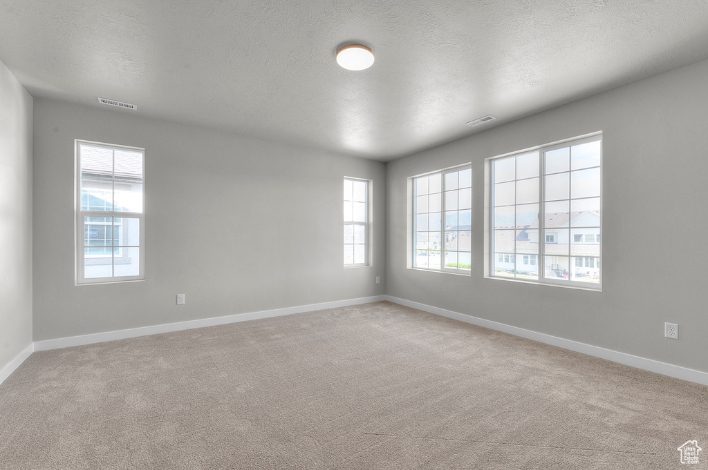 Spare room featuring healthy amount of natural light, baseboards, carpet, and a textured ceiling