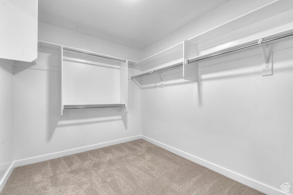 Spacious closet with carpet floors