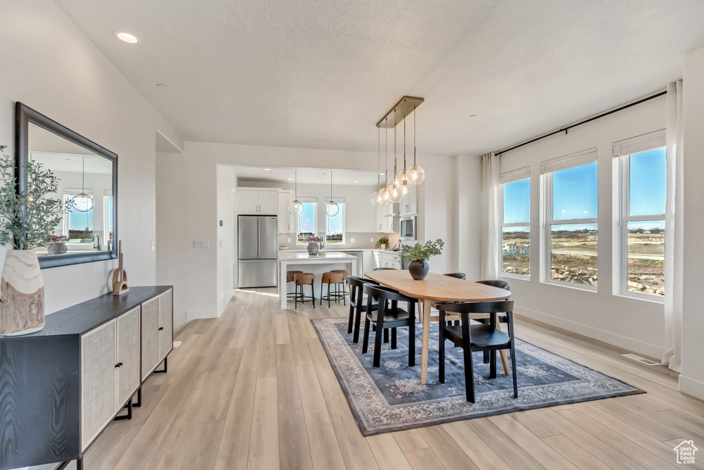 Dining room featuring baseboards, visible vents, and light wood-type flooring