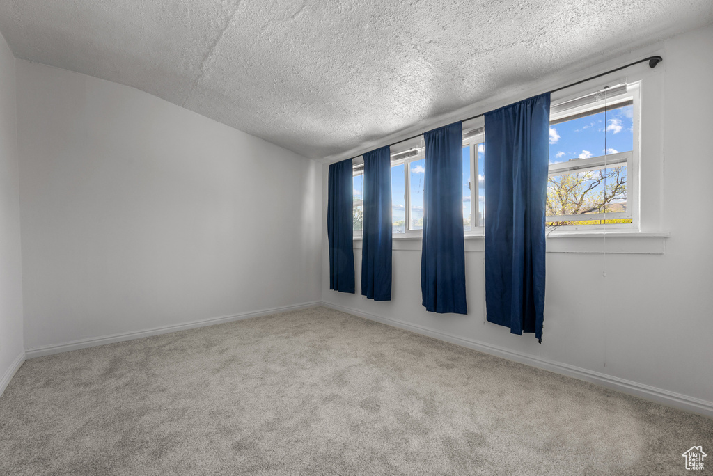 Spare room featuring a textured ceiling, a healthy amount of sunlight, and carpet