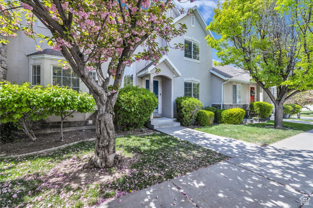 View of front facade with a front yard and stucco siding