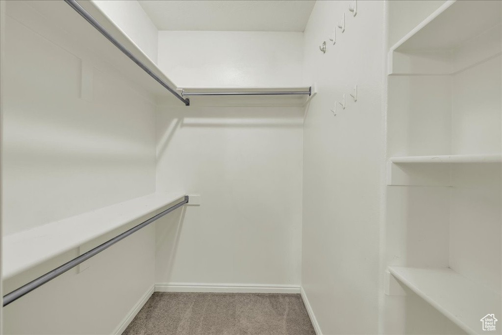 Walk in closet featuring carpet