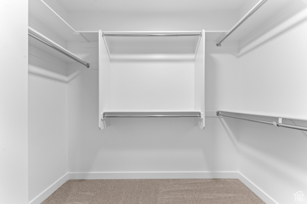 Spacious closet with carpet