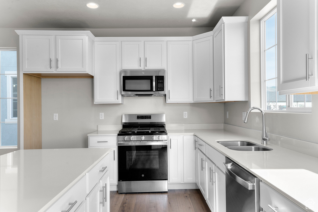 Kitchen featuring stainless steel appliances, a sink, recessed lighting, healthy amount of natural light, and light countertops