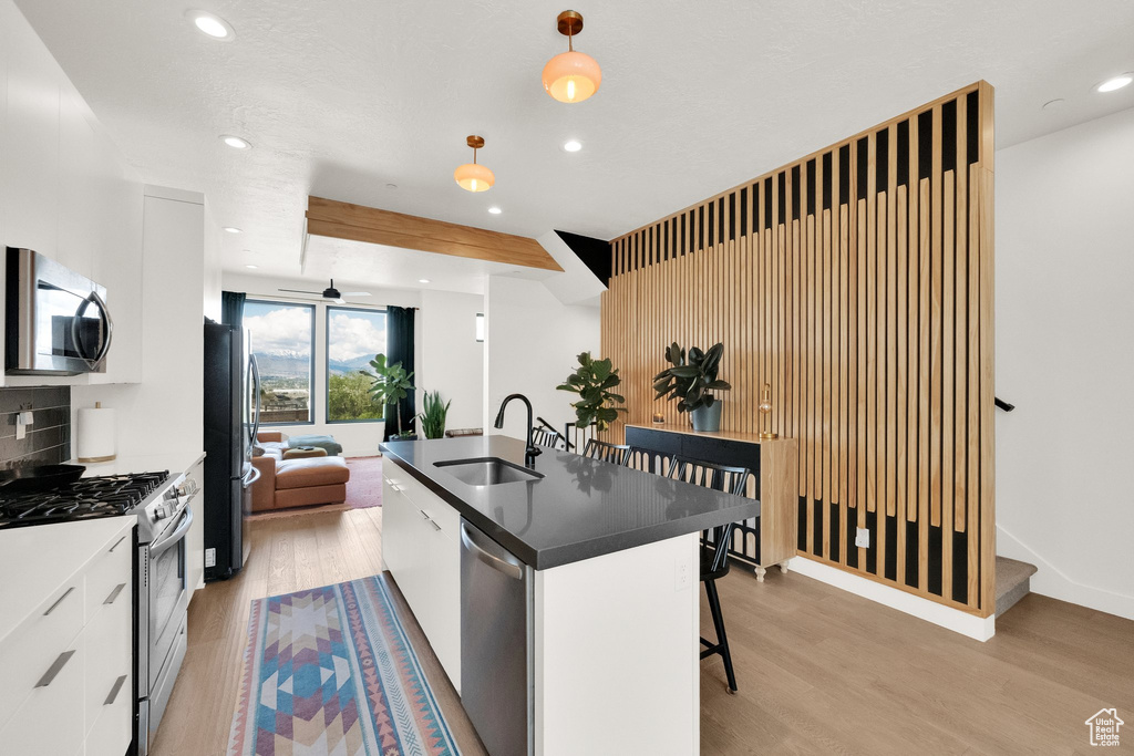Kitchen with recessed lighting, a sink, light wood finished floors, and appliances with stainless steel finishes