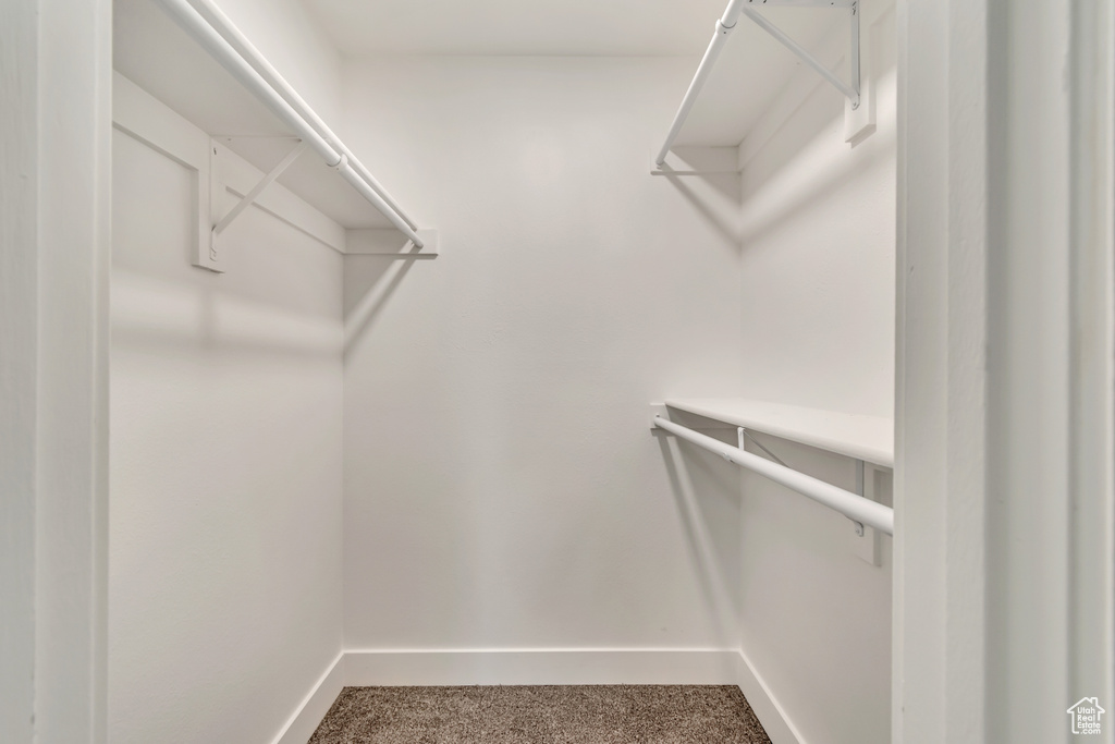 Walk in closet featuring carpet flooring