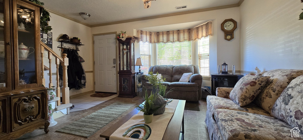 Living room with crown molding and visible vents