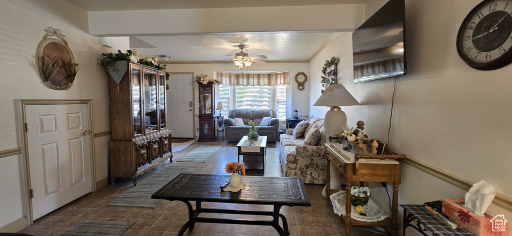 Living room with ceiling fan and ornamental molding