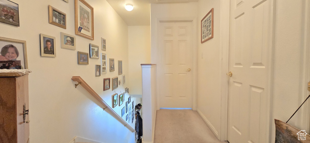 Hall with baseboards and carpet flooring