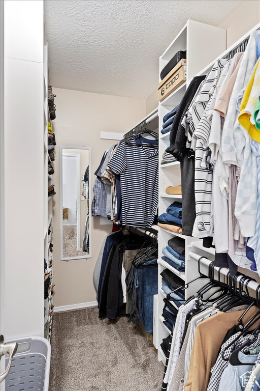 Spacious closet featuring carpet