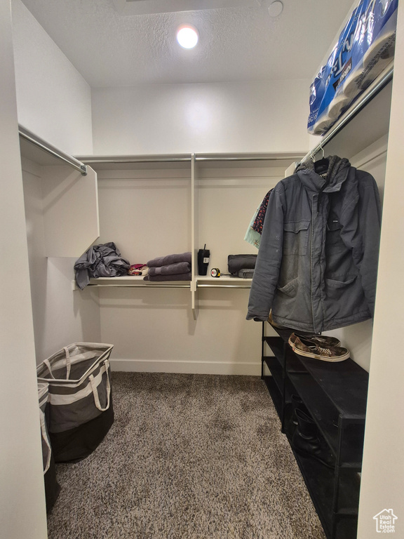 Walk in closet with carpet