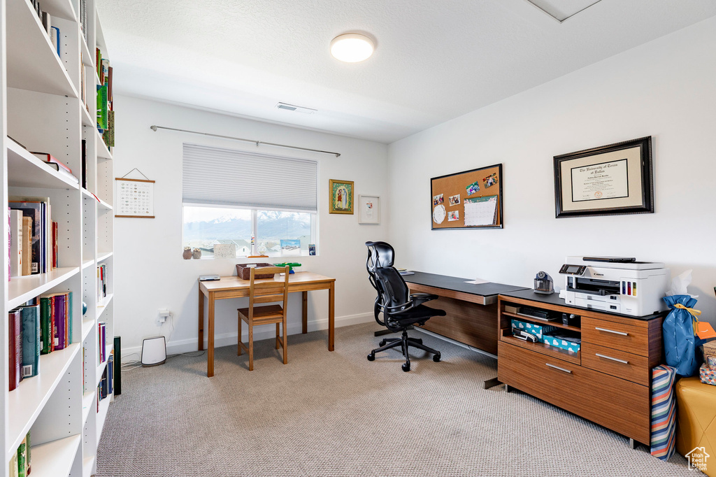 Office with carpet flooring, baseboards, and visible vents