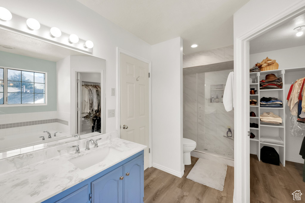 Full bathroom with vanity, wood finished floors, toilet, a spacious closet, and a shower stall