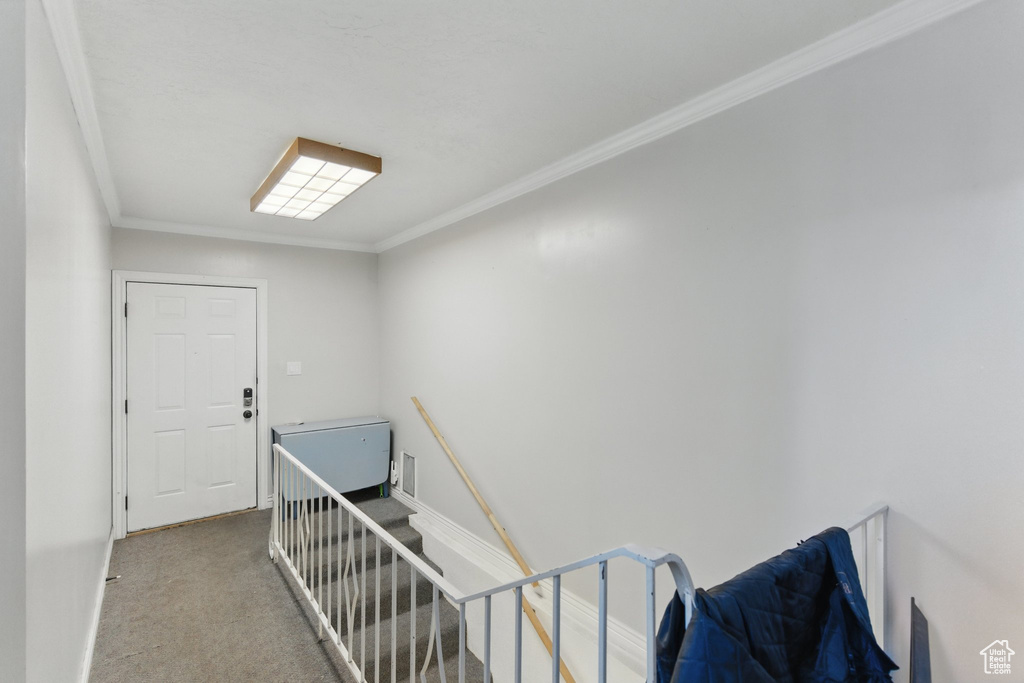 Stairs with crown molding, baseboards, and carpet