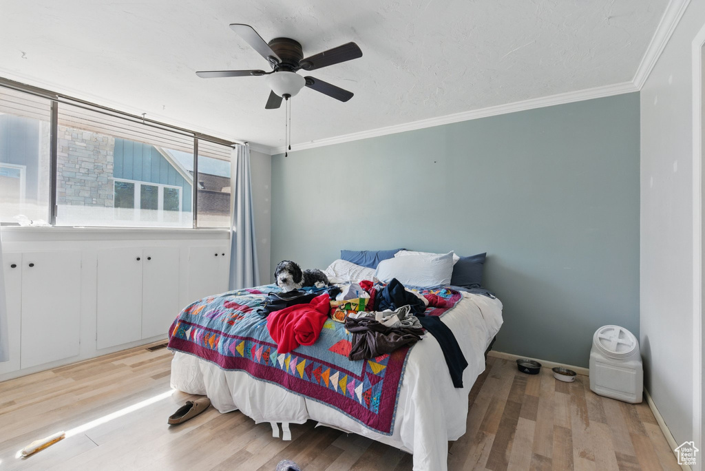 Bedroom with crown molding, ceiling fan, baseboards, and light wood-style flooring