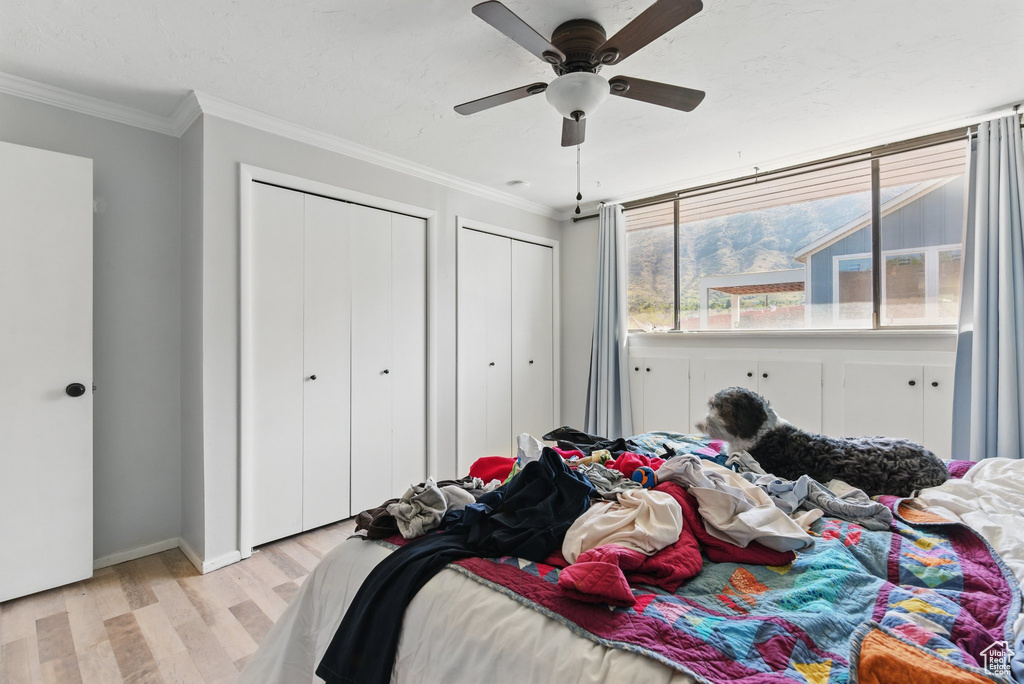 Bedroom with light wood-style floors, ornamental molding, multiple closets, and baseboards