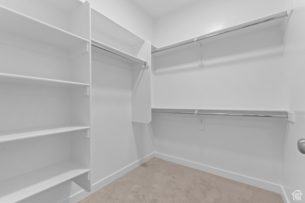 Spacious closet with carpet flooring