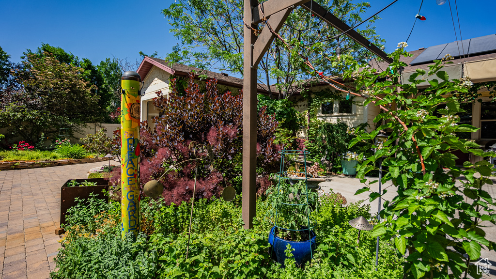 View of yard featuring a patio