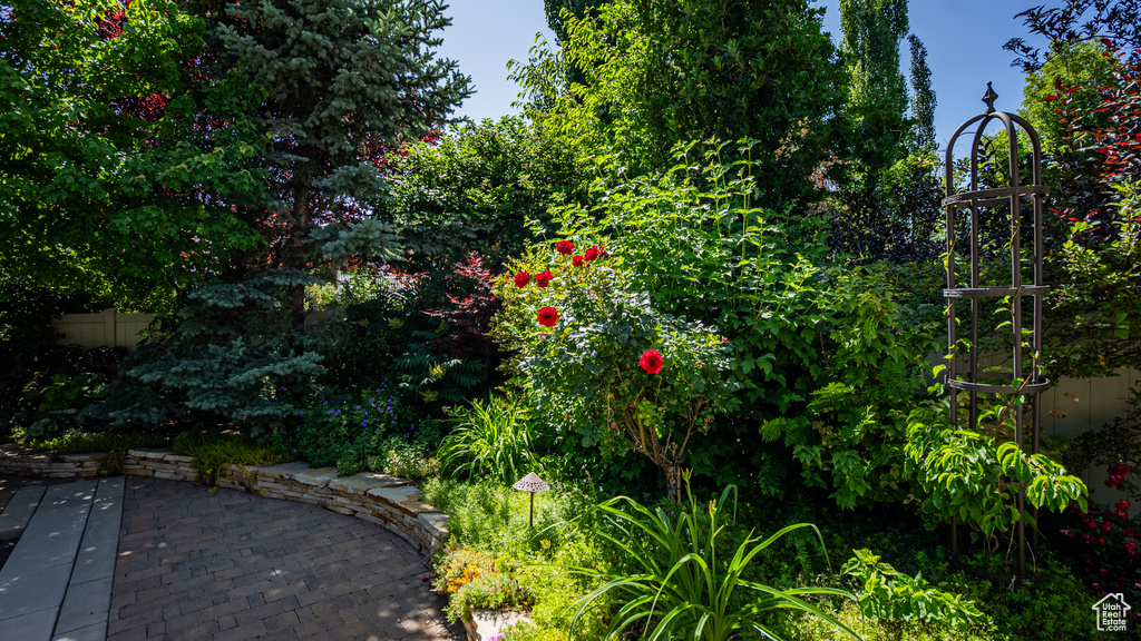 View of yard with a patio area