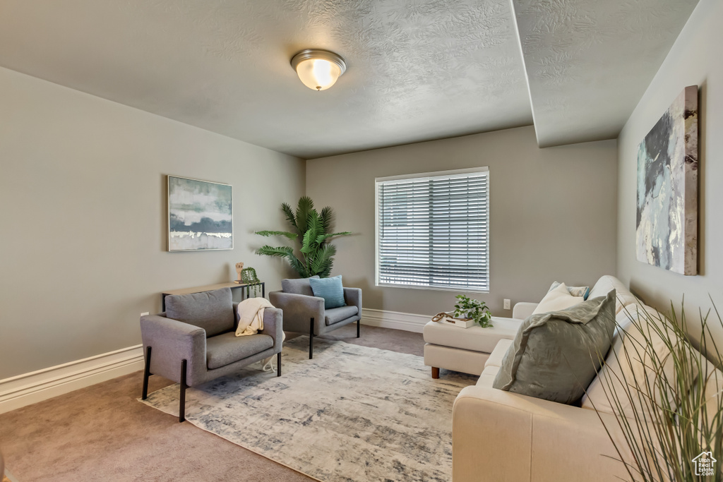 Carpeted living area with baseboards