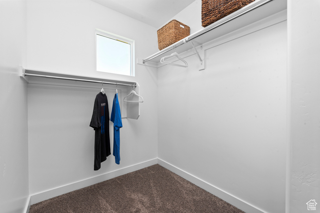 Walk in closet featuring dark carpet