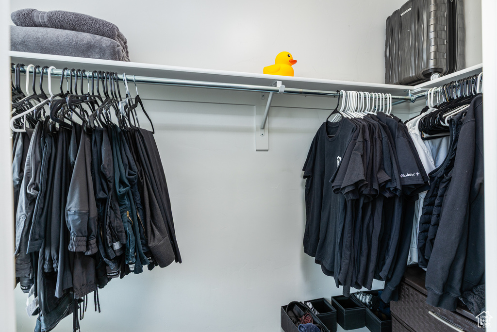 View of walk in closet