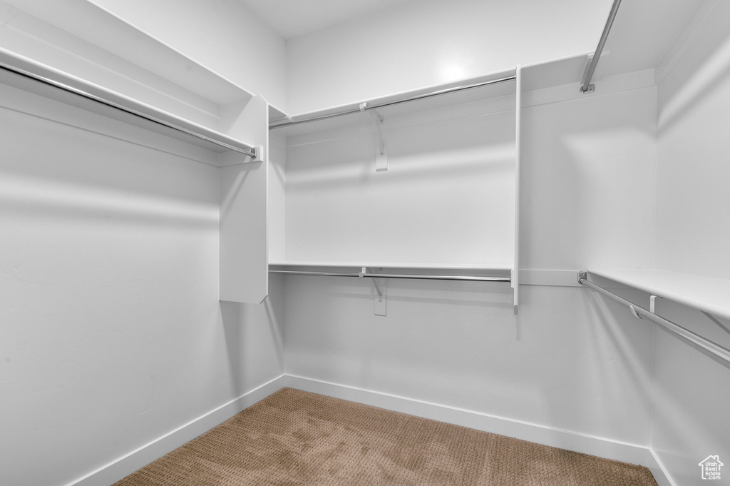Walk in closet featuring carpet floors