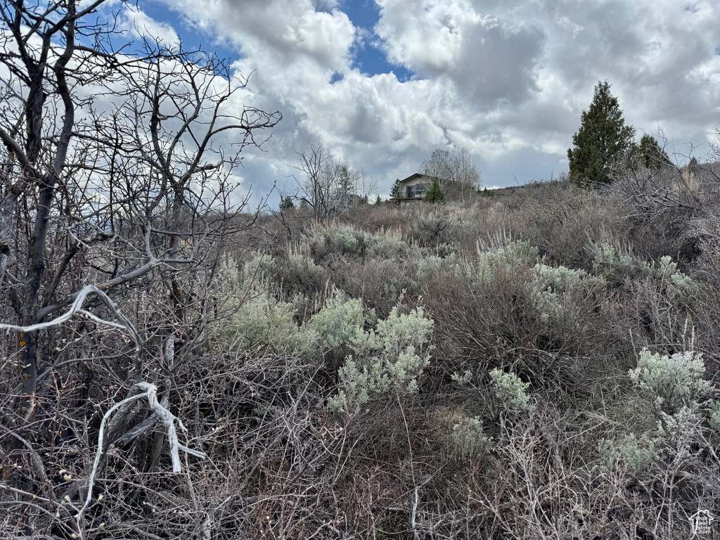 View of nature