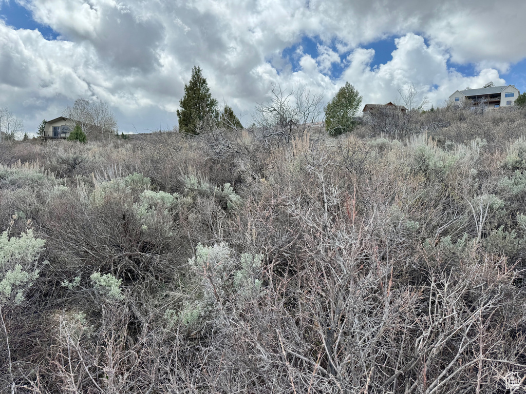 View of nature
