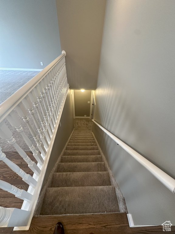 Stairs with carpet