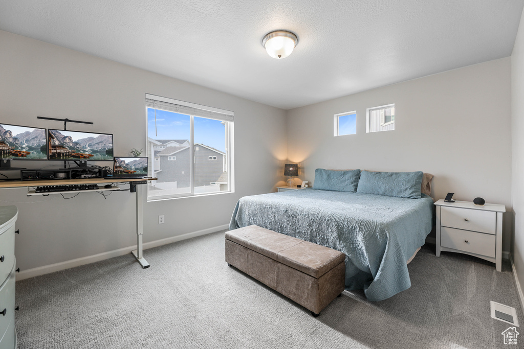 Carpeted bedroom with baseboards and visible vents