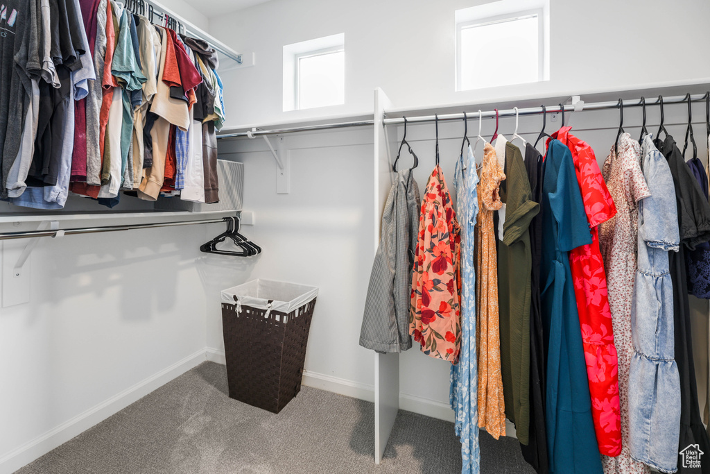 Spacious closet with carpet