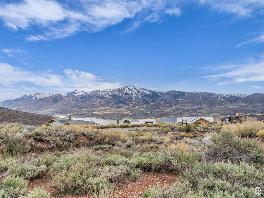 Mountain view