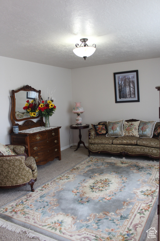 Carpeted living room with baseboards and a textured ceiling