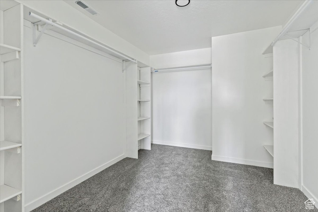 Spacious closet with visible vents and carpet flooring