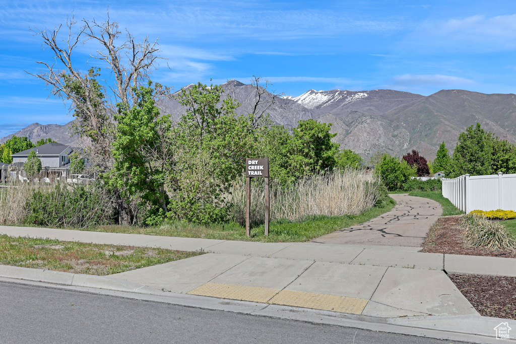 Mountain view
