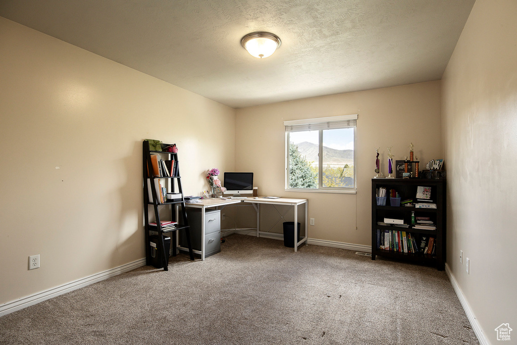 Carpeted office space featuring baseboards