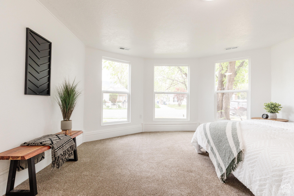 Carpeted bedroom with visible vents
