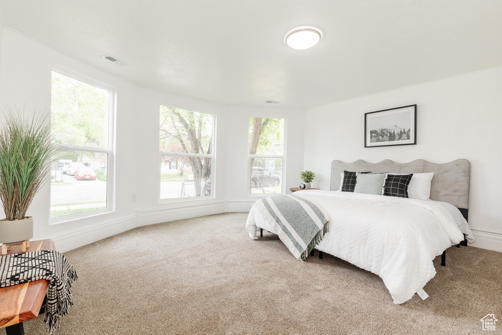 Carpeted bedroom featuring baseboards and visible vents