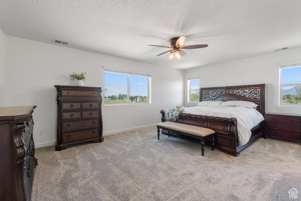 Carpeted bedroom with baseboards, multiple windows, and visible vents