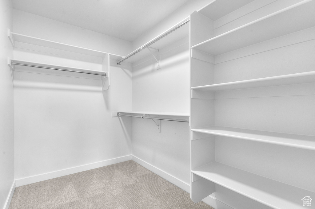 Spacious closet featuring carpet flooring