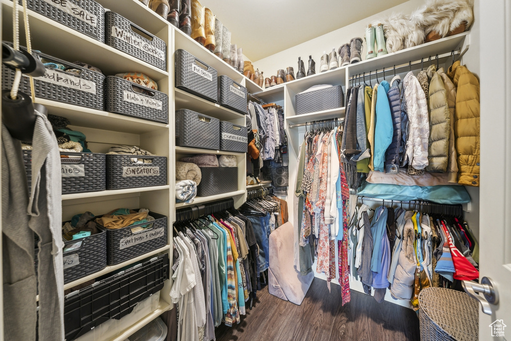 Walk in closet featuring wood finished floors
