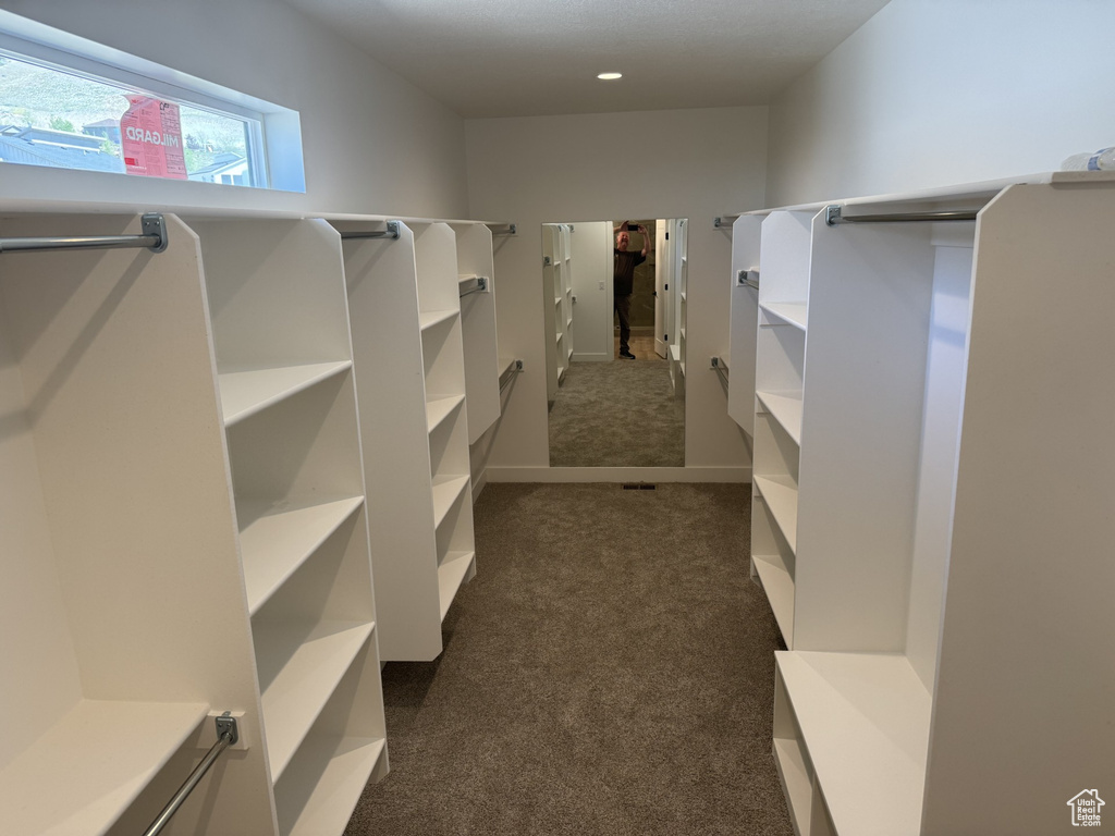 Walk in closet featuring dark colored carpet