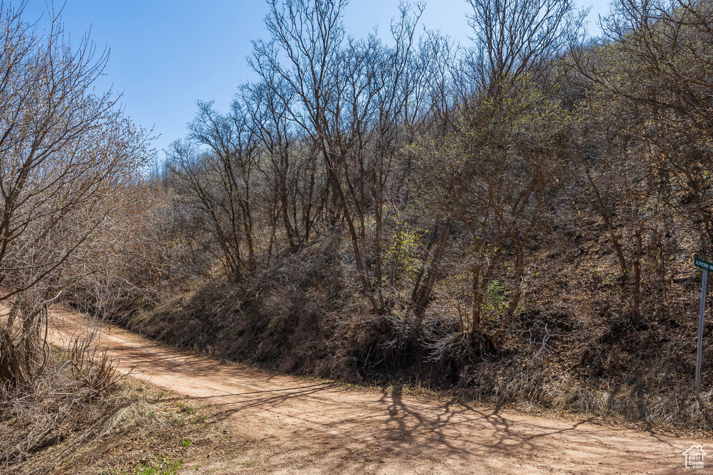 View of local wilderness with a forest view
