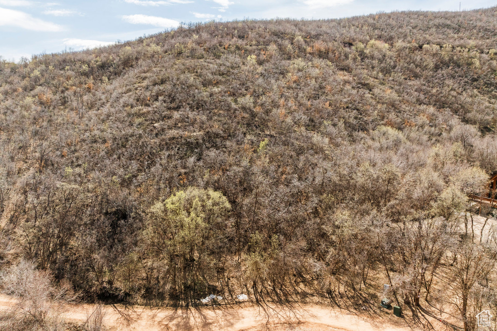 View of mountain feature with a view of trees