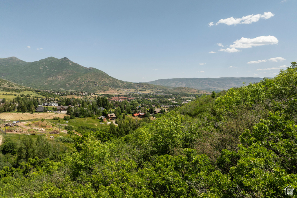 102  ALPHORN Midway, UT 84049