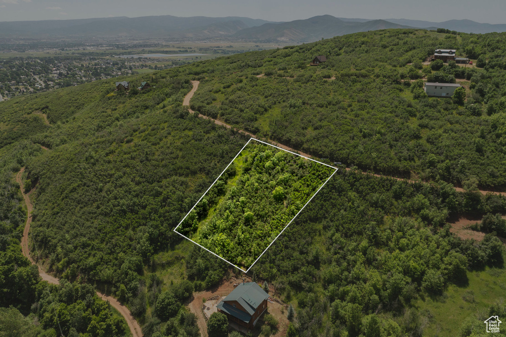 102  ALPHORN Midway, UT 84049