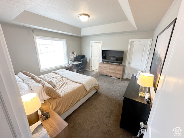 Bedroom featuring carpet flooring and a tray ceiling