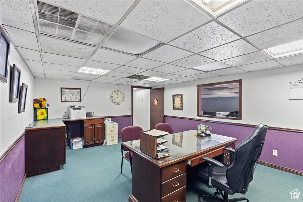 Office area featuring baseboards, carpet flooring, and a drop ceiling