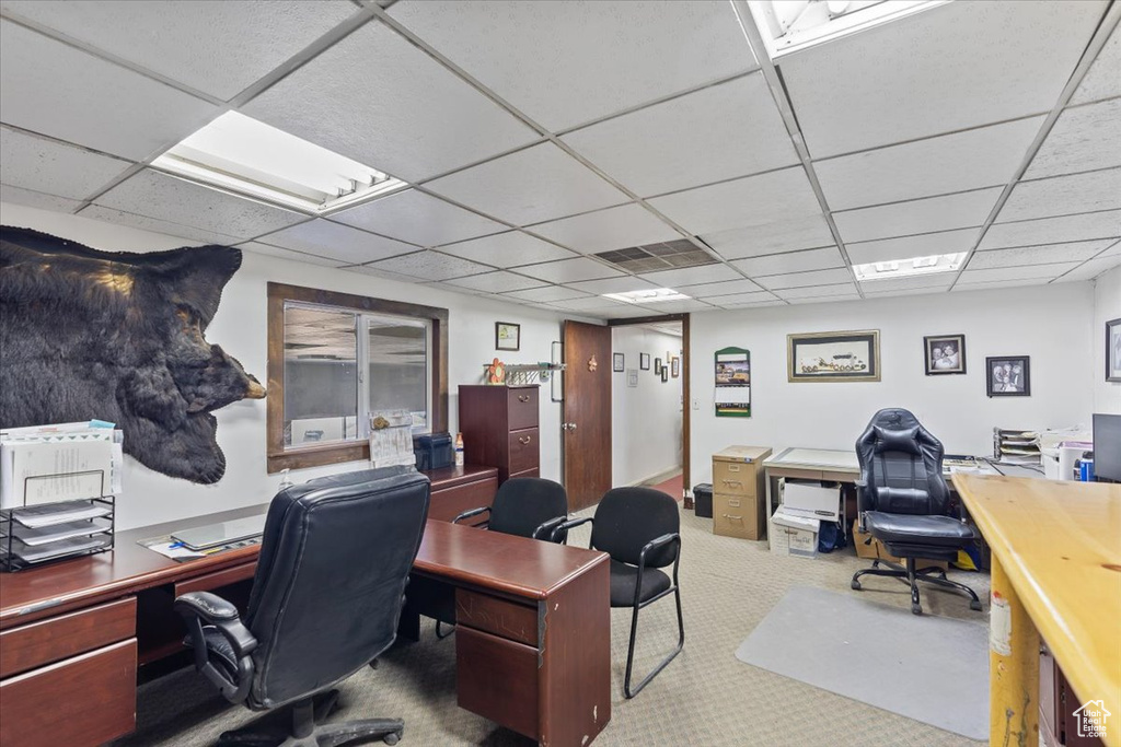 Carpeted office space with a drop ceiling